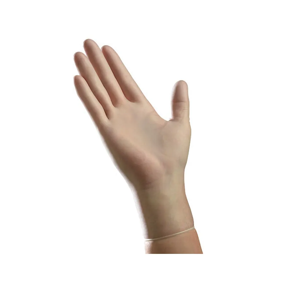 Vinyl Exam Gloves Large